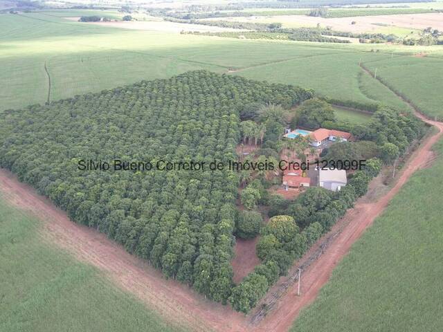 #1459 - Fazenda para Venda em Itápolis - SP